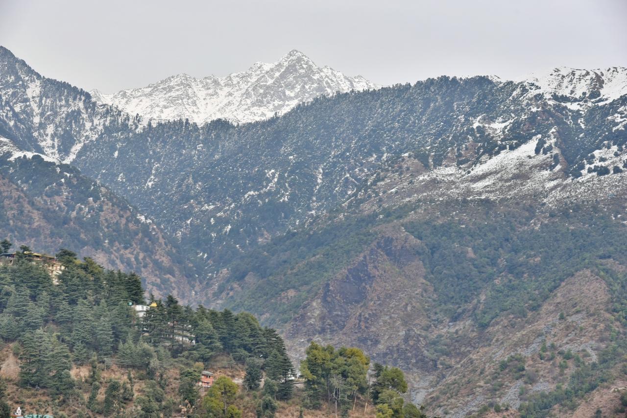 Hotel Akash - Luxury Hotel In Mcleodganj McLeod Ganj Exteriör bild